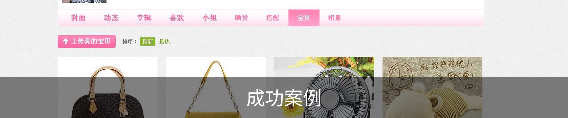 成功案例